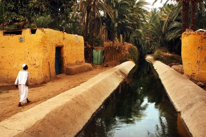 Aswan Nubian Village Motorboat Tour: Visit Gharb Soheil from Aswan photo 3