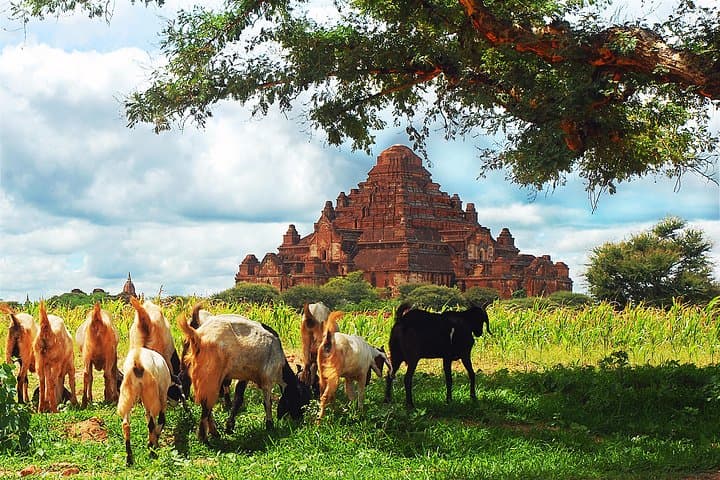 Private Day Adventure in Bagan: Temples, Markets & Ayeyarwaddy Sunset Cruise photo 3