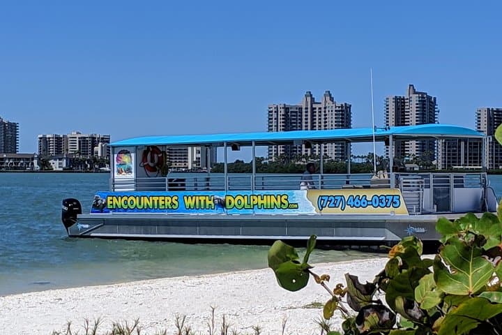 Clearwater Dolphin Watching & Compass Island Stop — 90-Min Tour from Clearwater Beach Marina