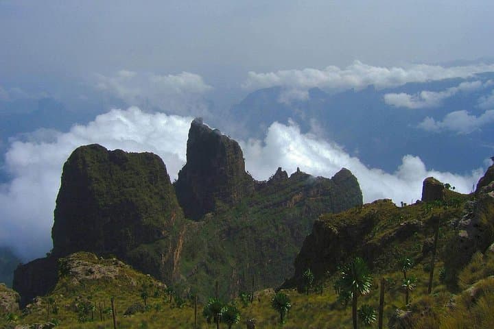 3-Day Bale Mountains Trekking: Sanetti Plateau & Harenna Forest Adventure photo 3