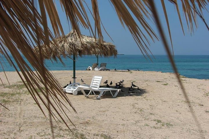 3-Day Djibouti Tour — Moucha Islands, Whale Sharks & Sables Blancs photo 4