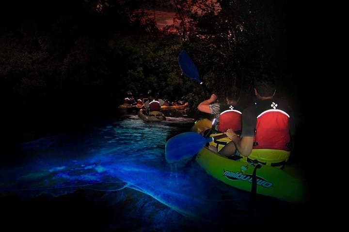 El Yunque Rainforest & Fajardo Bio Bay Day Trip — Hike, Swim and Kayak the Glowing Lagoon photo 4