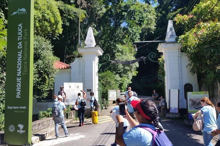 Tijuca Forest & Jardim Botânico: Rio's Urban Wilds and Hidden Treasures photo 3