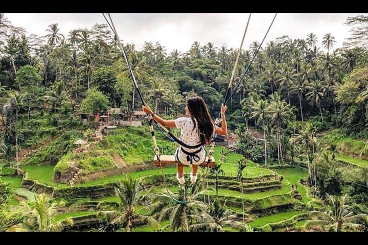 Ubud Day Tour: Bali Swing, Monkey Forest, Rice Terraces & Waterfall