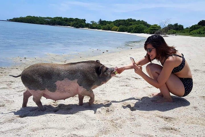 Pigs Island Semi-VIP Speedboat Tour from Koh Samui: Snorkel, Lagoon & Beach photo 3