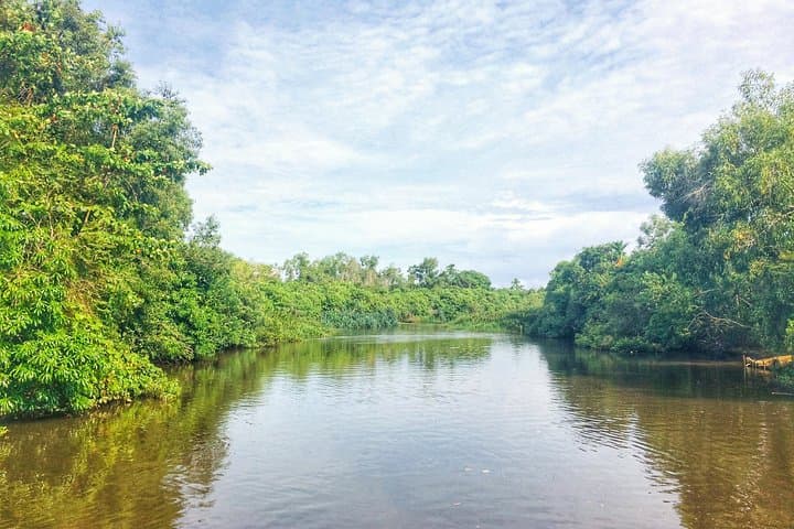5-Day Explore Sri Lanka: Sigiriya, Kandy & Galle Cultural and Wildlife Circuit