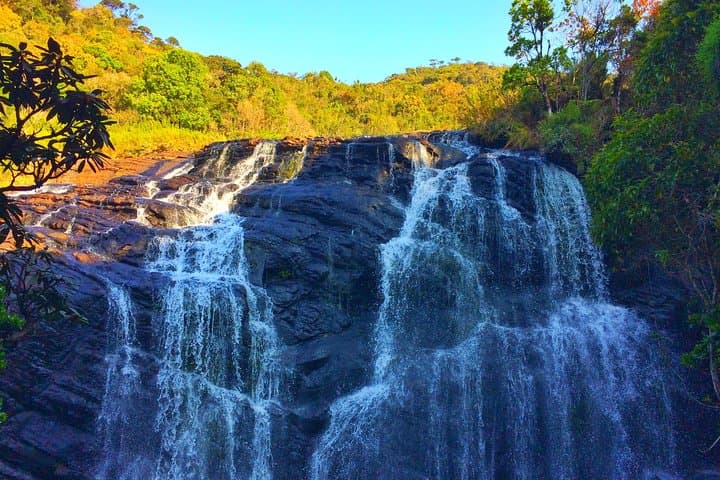 10-Day Explore Sri Lanka: Cultural Circuits, Tea Country & Yala Safaris photo 6