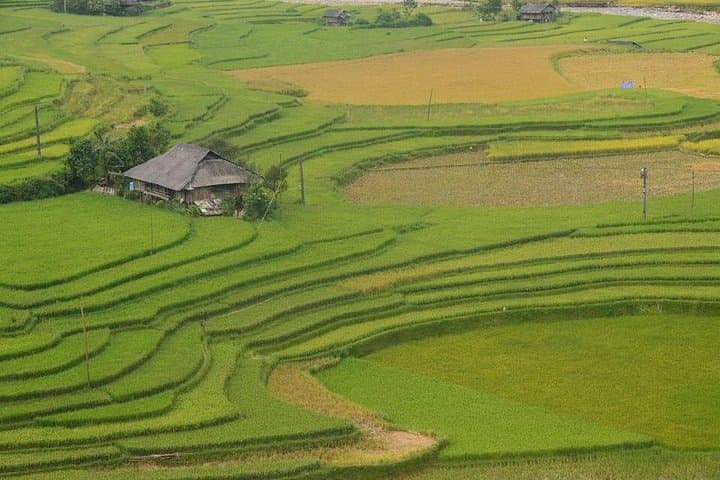 Hanoi to Sapa: 2-Day Valley Trek & Cat Cat Village Experience photo 6