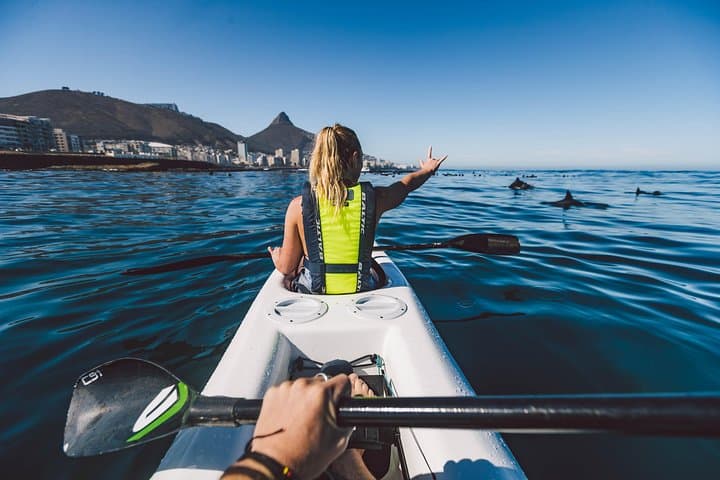 Atlantic Outlook Kayak Tour: 2-Hour Sea Kayak from Cape Town V&A Waterfront