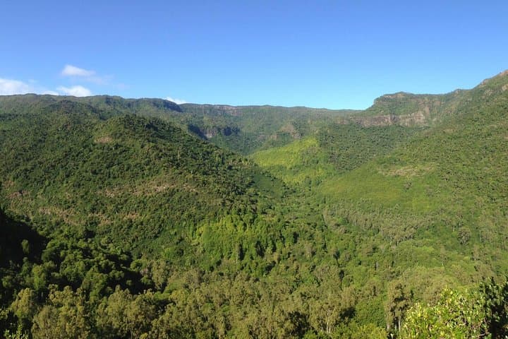 Black River Gorges Forest Hike — Mauritius Endemic Birds, Waterfalls & Coastal Vistas