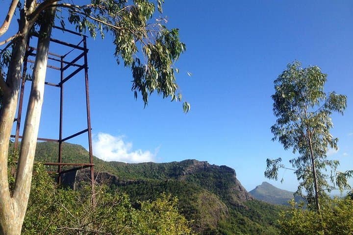 Black River Gorges Forest Hike — Mauritius Endemic Birds, Waterfalls & Coastal Vistas photo 3