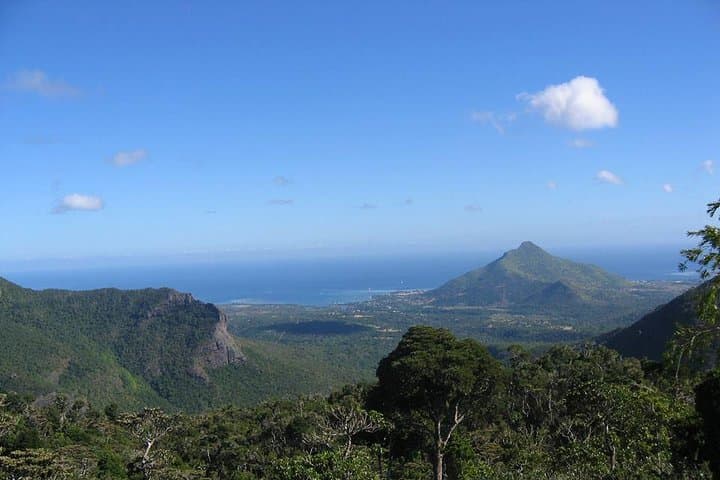 Black River Gorges Forest Hike — Mauritius Endemic Birds, Waterfalls & Coastal Vistas photo 5