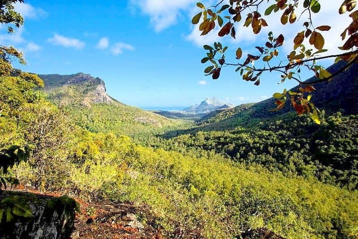 Black River Gorges Forest Hike — Mauritius Endemic Birds, Waterfalls & Coastal Vistas photo 2