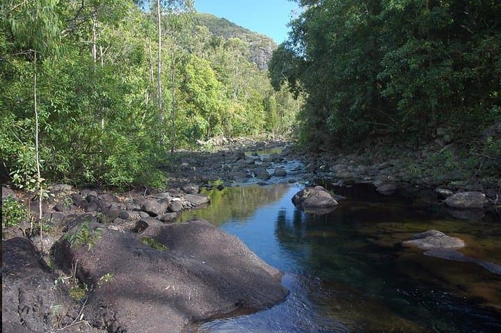 Black River Gorges Forest Hike — Mauritius Endemic Birds, Waterfalls & Coastal Vistas photo 4