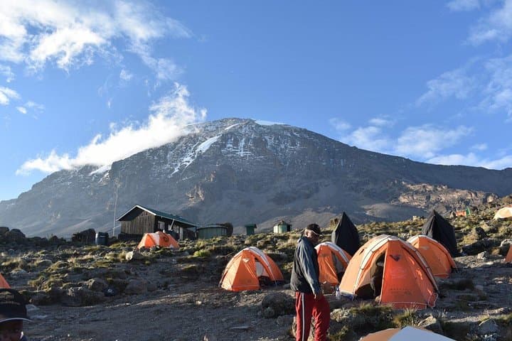 8-Day Kilimanjaro Northern Circuit Trek: Route, Gear & Summit Guide photo 2
