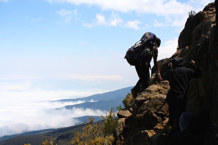 8-Day Kilimanjaro Northern Circuit Trek: Route, Gear & Summit Guide photo 4