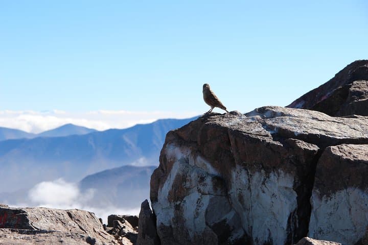 Summit Toubkal in Two Days: High Atlas Trek from Marrakech photo 2