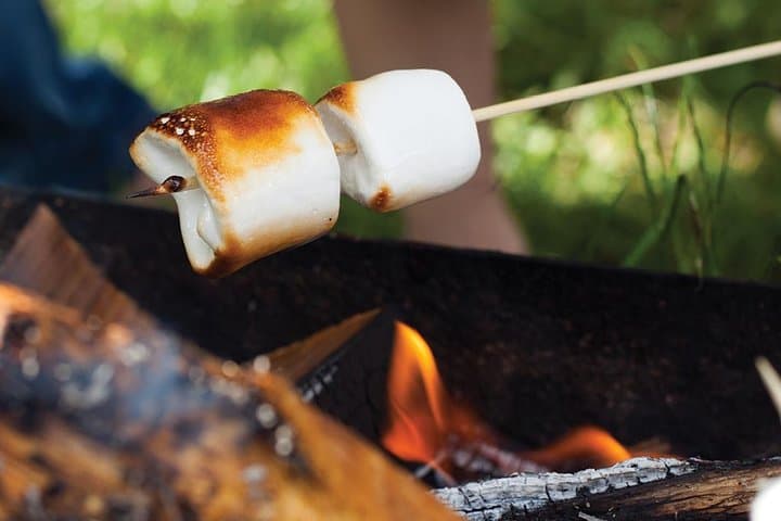 Juneau Gold Creek Salmon Bake: Wild Alaskan Salmon Dinner & Gold Panning photo 6