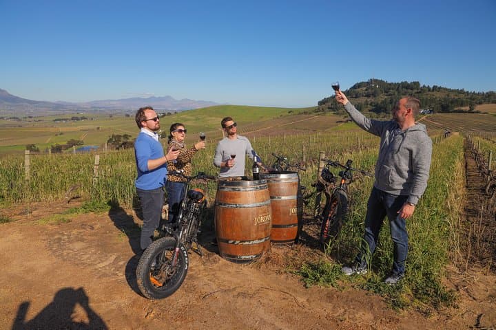 Electric Bike Winelands Tour from Cape Town: Full-Day Stellenbosch E-Bike & Wine Experience photo 3