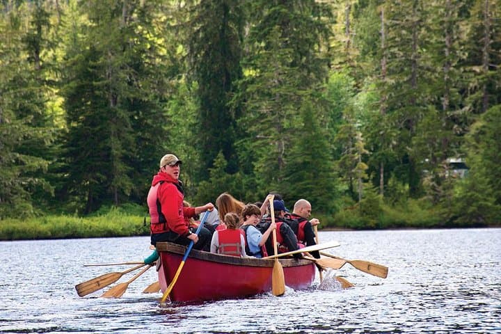 Paddling Through Ketchikan’s Tongass: Rainforest Canoe and Nature Walk Adventure