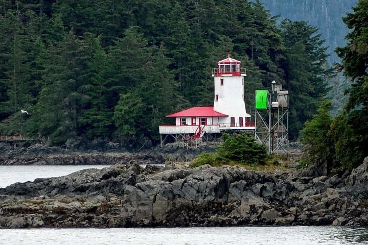 Sitka Sea Kayaking and Wildlife Cruise – Half-Day Port Adventure photo 4