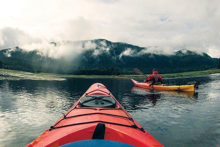 Sitka Sea Kayaking and Wildlife Cruise – Half-Day Port Adventure photo 3