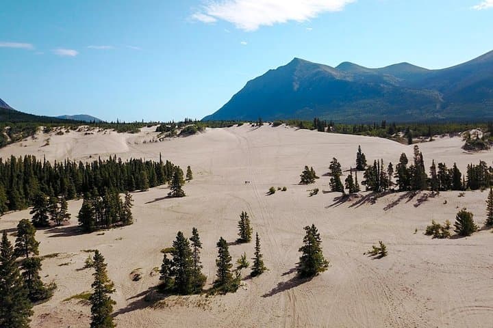 Whitehorse to Skagway Day Trip — White Pass, Emerald Lake & Carcross Desert photo 4