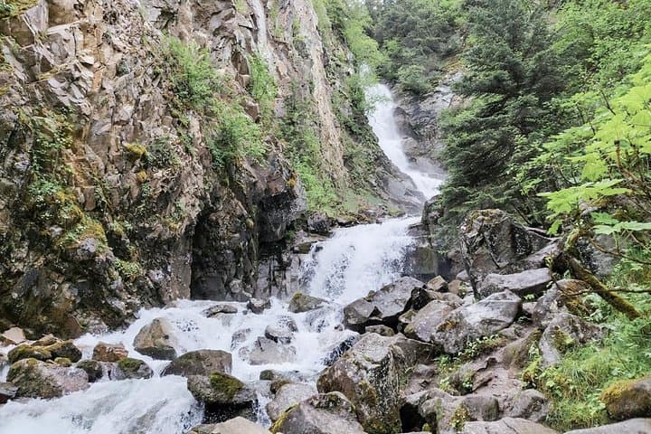 Whitehorse to Skagway Day Trip — White Pass, Emerald Lake & Carcross Desert photo 3