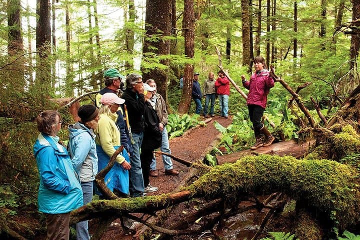 Paddling Through Ketchikan’s Tongass: Rainforest Canoe and Nature Walk Adventure photo 2