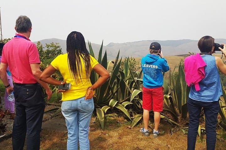 Obudu Mountain Resort 5-Day Cloud Retreat: Canopy Walks, Grotto Pools & Cultural Tours