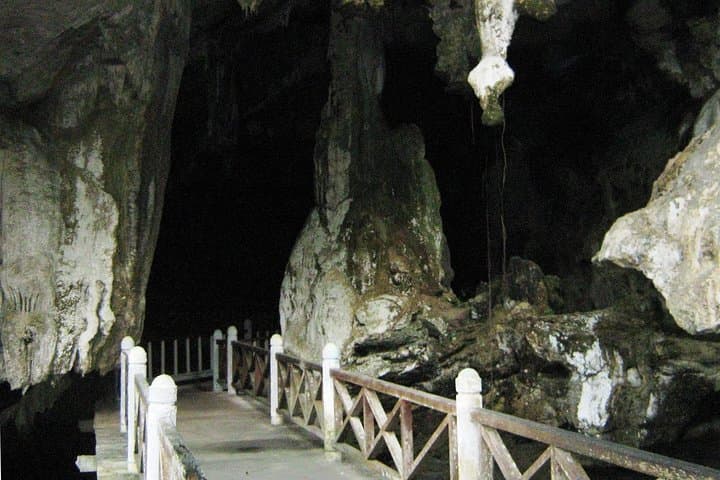Private Mangrove & Kilim Karst Boat Tour — 2-Hour Langkawi Geopark Experience photo 3