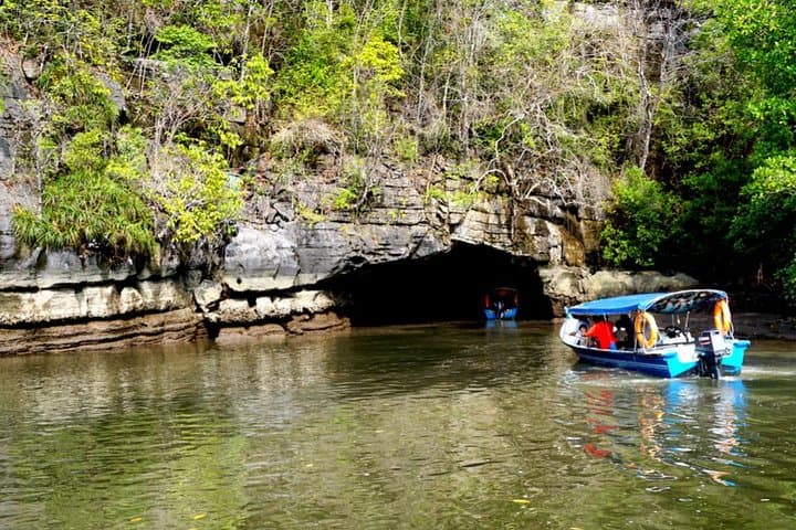 Private Mangrove & Kilim Karst Boat Tour — 2-Hour Langkawi Geopark Experience photo 4