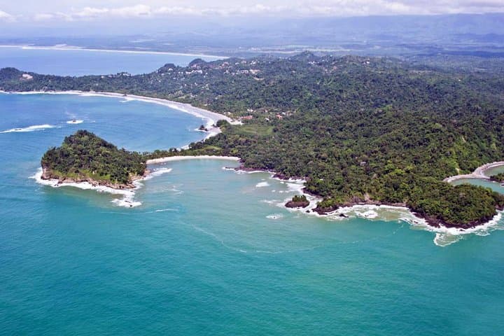 Manuel Antonio Day Trip from San José — Rainforest Trails, Beaches & Wildlife