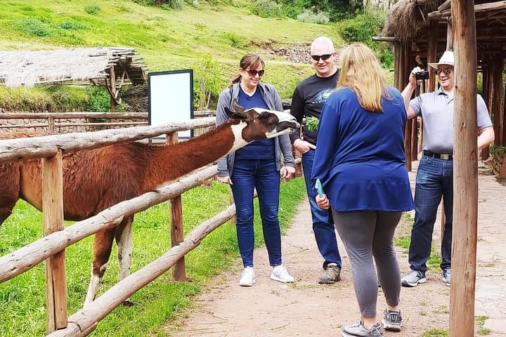Sacred Valley Full-Day Explorer: Pisac, Moray, Maras & Ollantaytambo photo 5