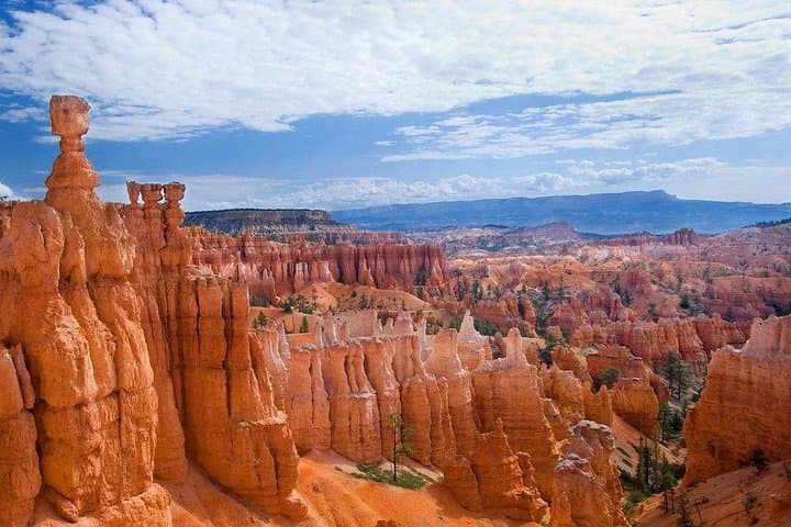 Zion and Bryce Canyon Day Tour from Las Vegas: Hoodoos, Slot Canyons, and Red Rock Vistas photo 4