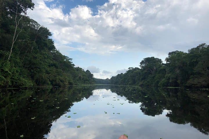 Pacaya Samiria Mystical 3-Day Jungle Wildlife Adventure from Iquitos