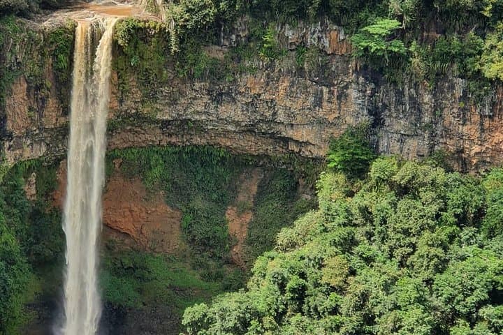 Deep Wild South Full-Day Tour: Chamarel, Black River Gorges & Seven Colored Earth photo 4