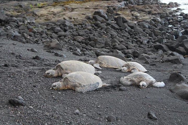 Exploring Hawaii’s Volcanoes National Park: A Custom Private Tour from Hilo