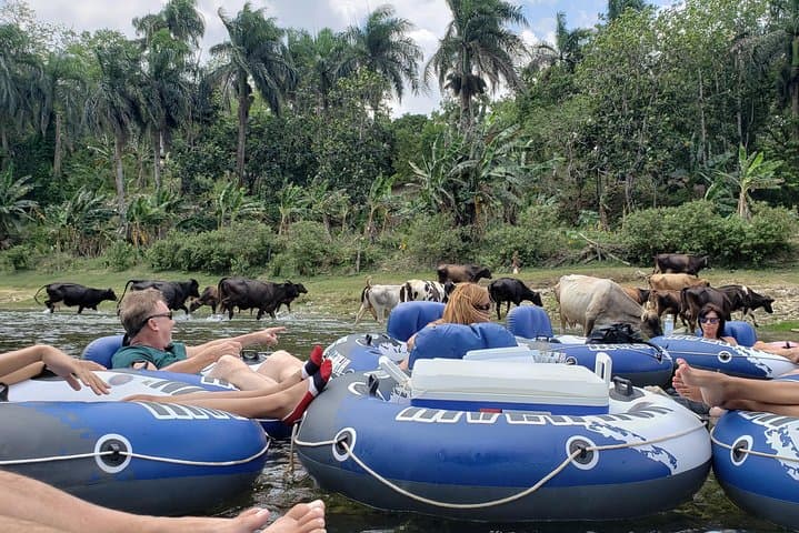 Yasica River Tubing — Cabarete Lazy River Float with Lunch and Drinks photo 5