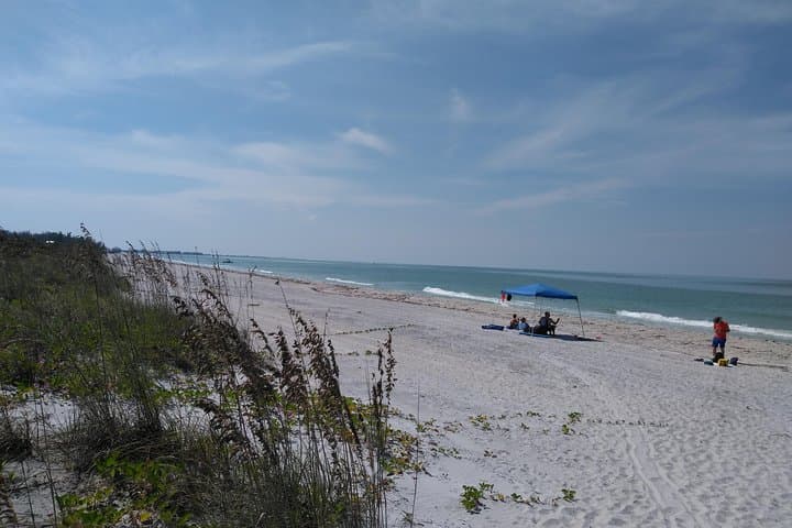 Punta Gorda to Cayo Costa: 4-Hour Beach & Shelling Boat Trip photo 3