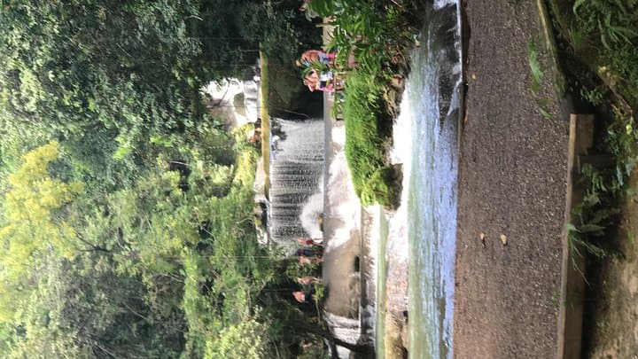 Explore YS Falls: Private Full-Day Waterfall Adventure with Pickup photo 3