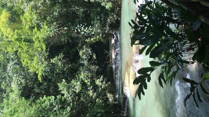 Explore YS Falls: Private Full-Day Waterfall Adventure with Pickup photo 6