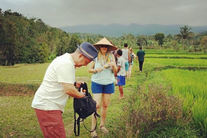Soft Trekking Tetebatu: Rice Terraces & Waterfall Day Hike on Mount Rinjani's Slopes photo 5