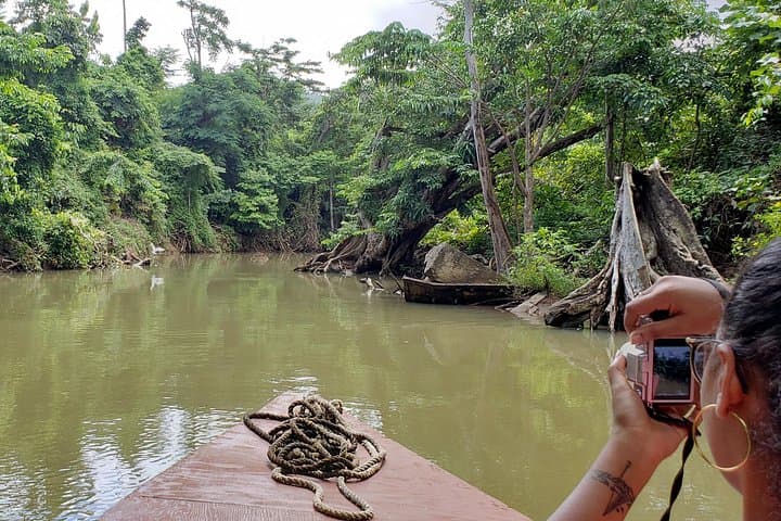Indian River to Fort Shirley: Dominica’s Northern Excursion with Cold Soufrière photo 1