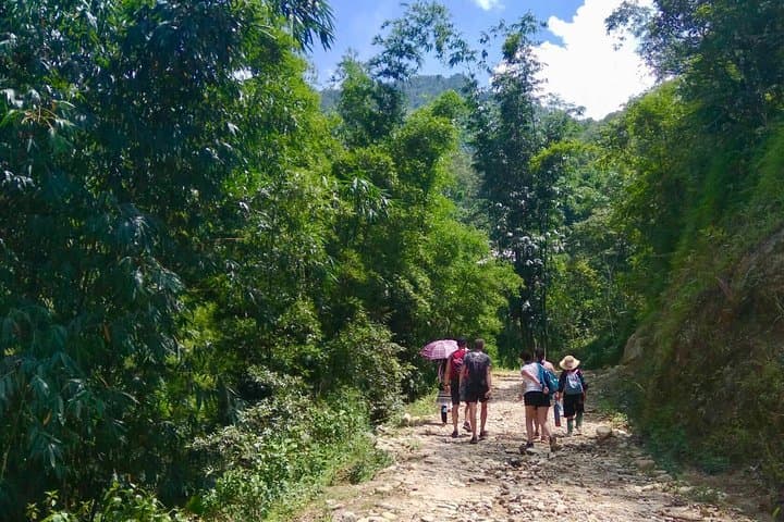 Ethical Sapa Trek: Two-Day Cultural Homestay with ETHOS
