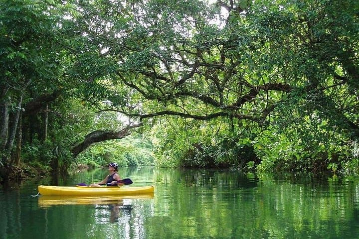 Rentapao River Kayak Tour from Port Vila — Family-Friendly Rainforest Paddle