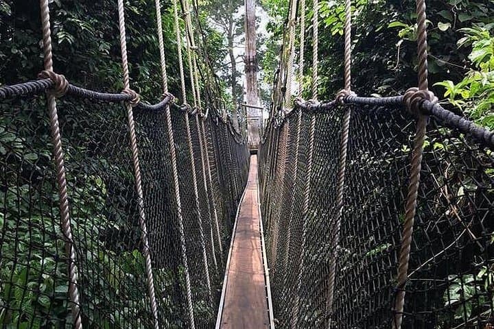 Cape Coast & Elmina Castles with Kakum Canopy Walk — Heritage Day Tour from Accra photo 2