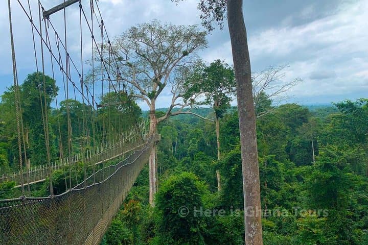Cape Coast & Elmina Castles with Kakum Canopy Walk — Heritage Day Tour from Accra