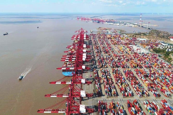 Shanghai Tower to Yangshan: Full-Day Private Tour of Donghai Bridge & Deep-Water Port photo 5