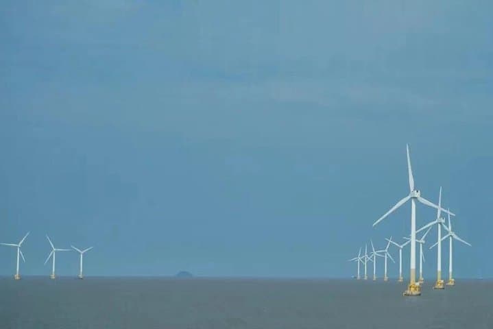 Shanghai Tower to Yangshan: Full-Day Private Tour of Donghai Bridge & Deep-Water Port photo 6